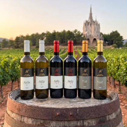 Caixa Només Vins · 6 ampolles — Cava Vives Ambròs