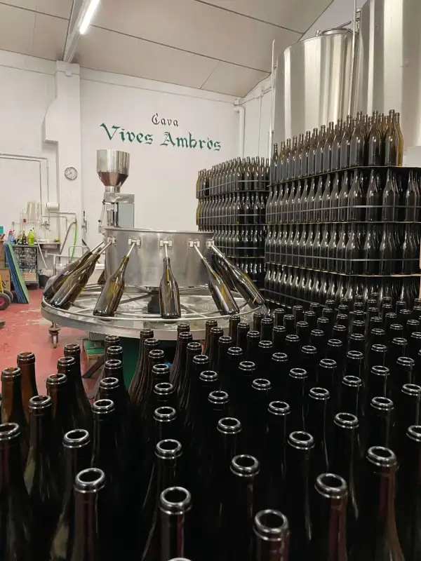 Where we make our wine — Vives Ambròs
