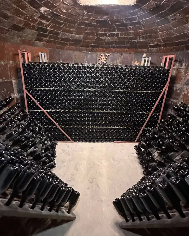 Underground fermentation vats — Vives Ambròs winery, Montferri