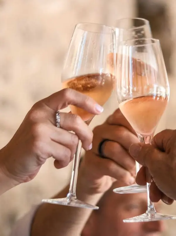 The Tasting — Vives Ambròs
